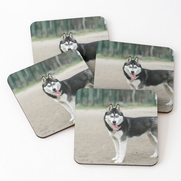Item preview, Siberian Husky Dog Tired from Running designed and sold by VanGaldo.