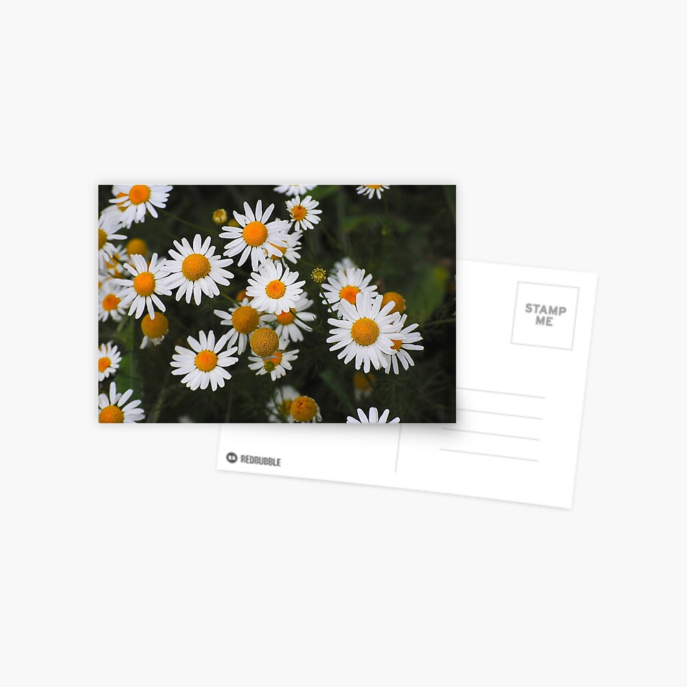 Item preview, Postcard designed and sold by Aisat13.