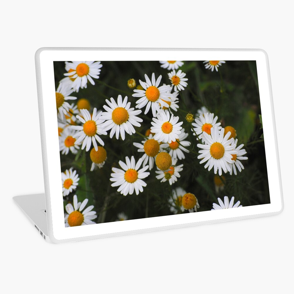 Item preview, Laptop Skin designed and sold by Aisat13.