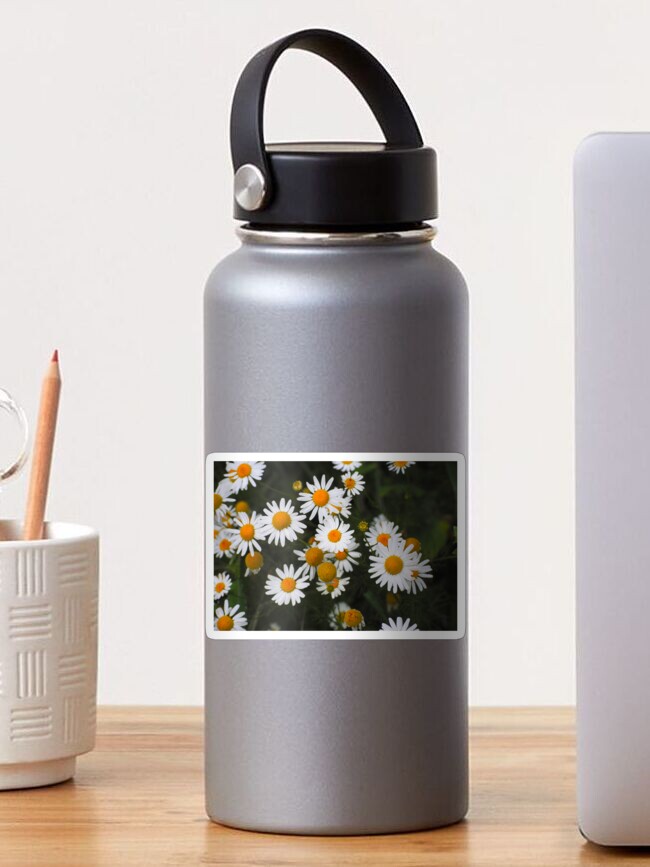 Thumbnail 1 of 3, Sticker, Daisy designed and sold by Aisat13.