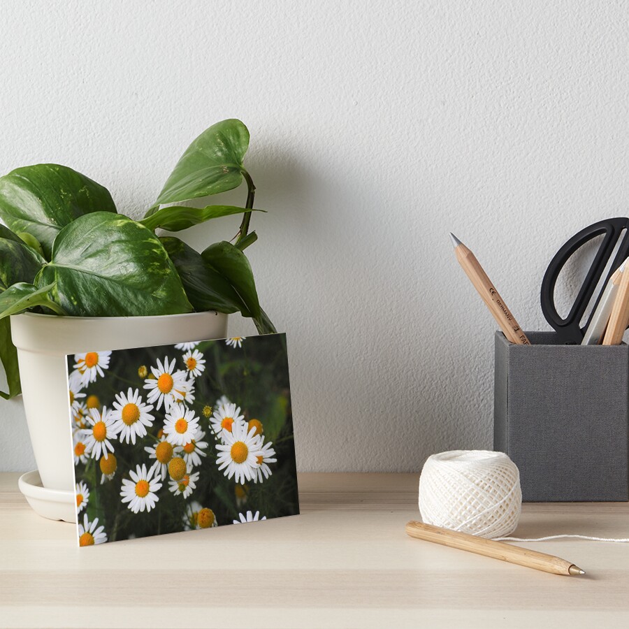 Item preview, Art Board Print designed and sold by Aisat13.