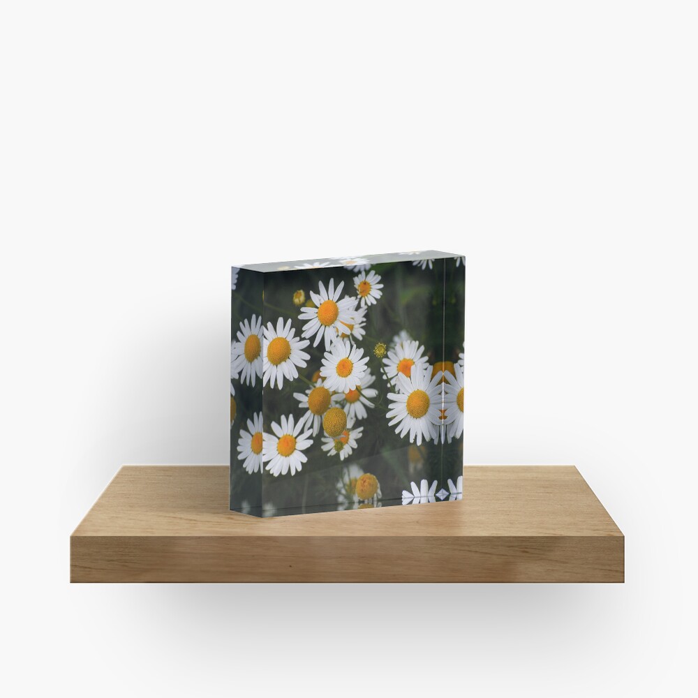 Item preview, Acrylic Block designed and sold by Aisat13.