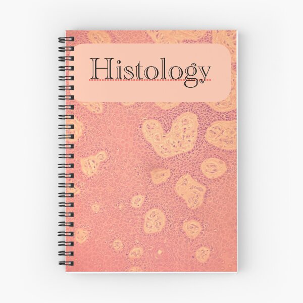 Item preview, Histology notebook heart GI glands designed and sold by CellPathWorld.