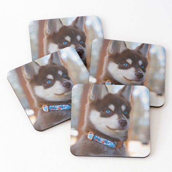 Item preview, Blue Eyed Brown Siberian Husky Puppy designed and sold by VanGaldo.