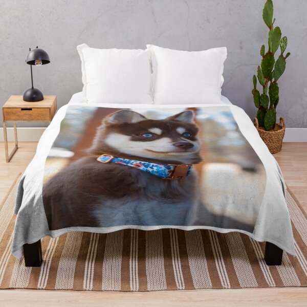 Item preview, Blue Eyed Brown Siberian Husky Puppy designed and sold by VanGaldo.
