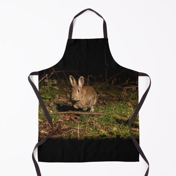 Item preview, Rabbit designed and sold by MTPhotos1406.