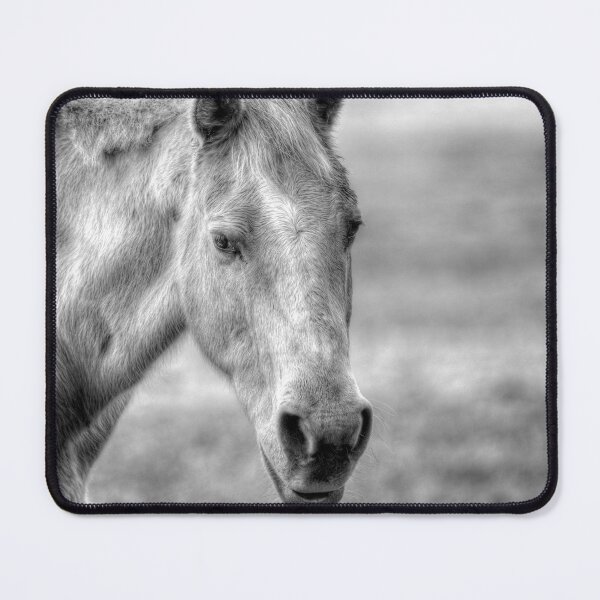 Item preview, Portrait of a Horse designed and sold by Tom3Piorkowski.
