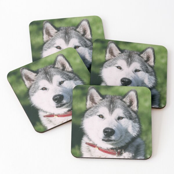 Item preview, Gorgeous Siberian Husky Dog designed and sold by VanGaldo.