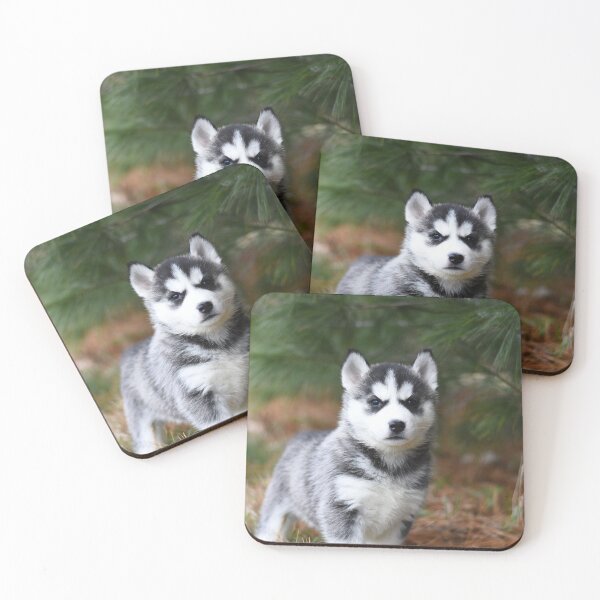 Item preview, Very Cute Siberian Husky Puppy designed and sold by VanGaldo.