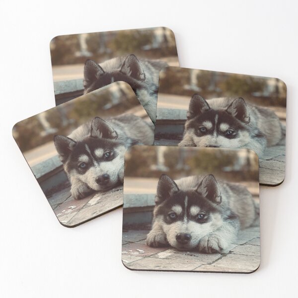 Item preview, Siberian Husky Puppy Lying on Floor designed and sold by VanGaldo.