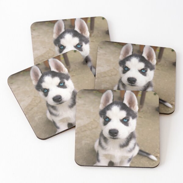 Item preview, Cute Blue Eyed Siberian Husky Puppy designed and sold by VanGaldo.