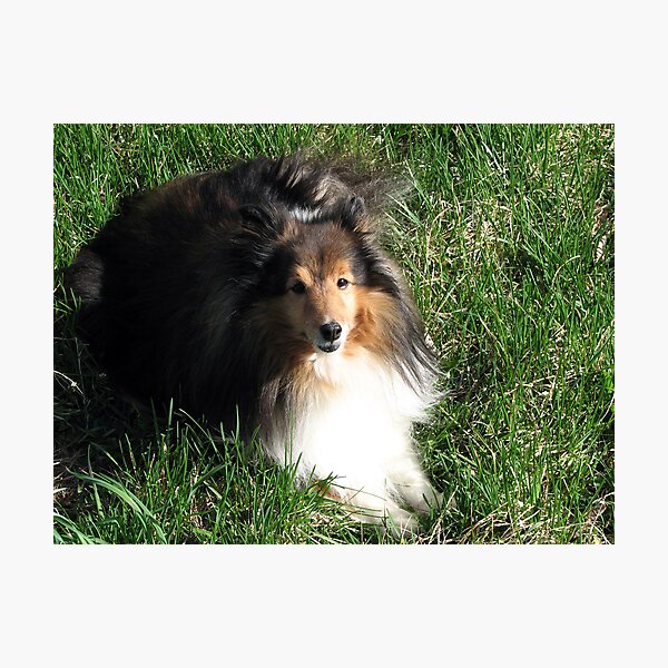 Artikelvorschau, Who You Callin' Farm Dawg? entworfen und verkauft von LavenderMoon.