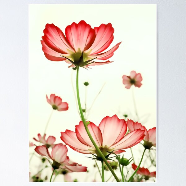 Item preview, TENDER RED BLOSSOMS v2 designed and sold by Pia Schneider.