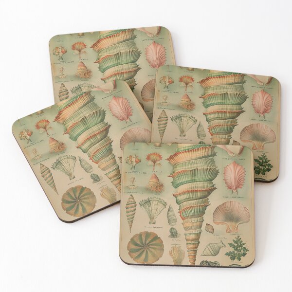 Item preview, ocean artifacts designed and sold by tvrvintage.