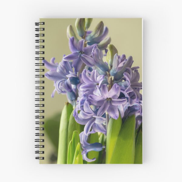 Item preview, Jacinto designed and sold by CameliaC.