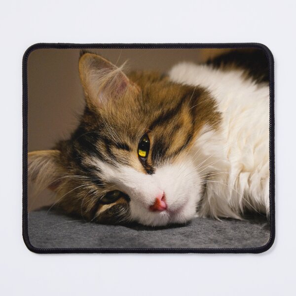 Item preview, The cat's nap designed and sold by Karell Faucher.