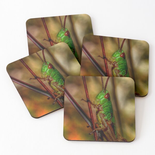 Item preview, Grasshopper designed and sold by Roberto Pagani.