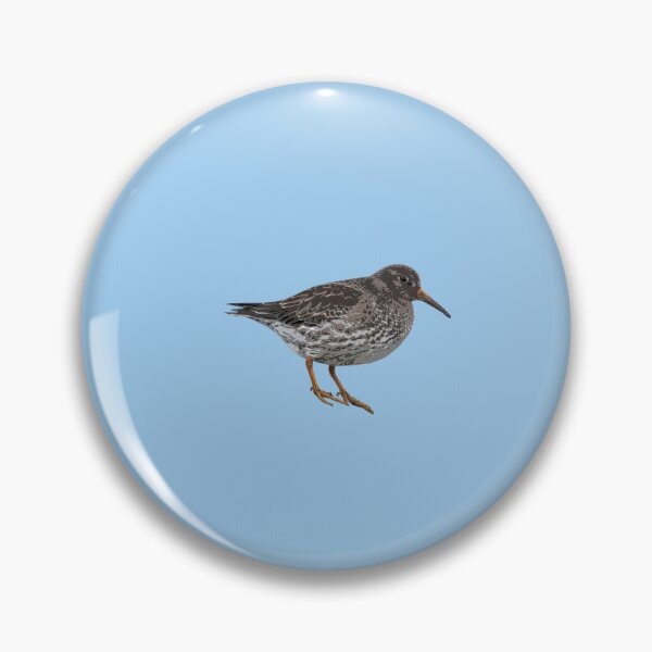 Item preview, Purple Sandpiper Color Design  designed and sold by designsasstultd.