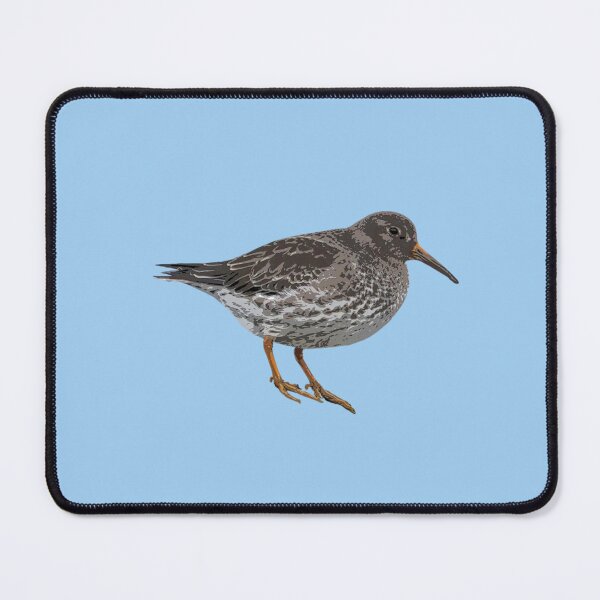 Item preview, Purple Sandpiper Color Design  designed and sold by designsasstultd.