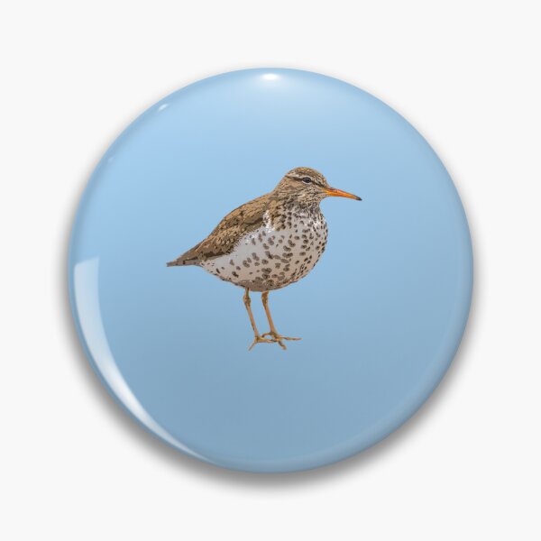 Item preview, Spotted Sandpiper Color Design  designed and sold by designsasstultd.