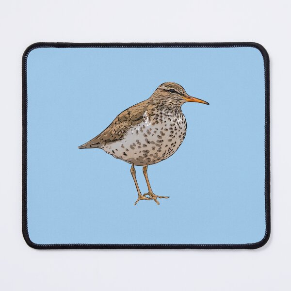 Item preview, Spotted Sandpiper Black Alternate Design  designed and sold by designsasstultd.