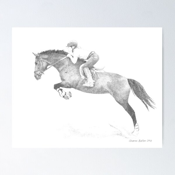 Horse Belgian Warmblood Poster
