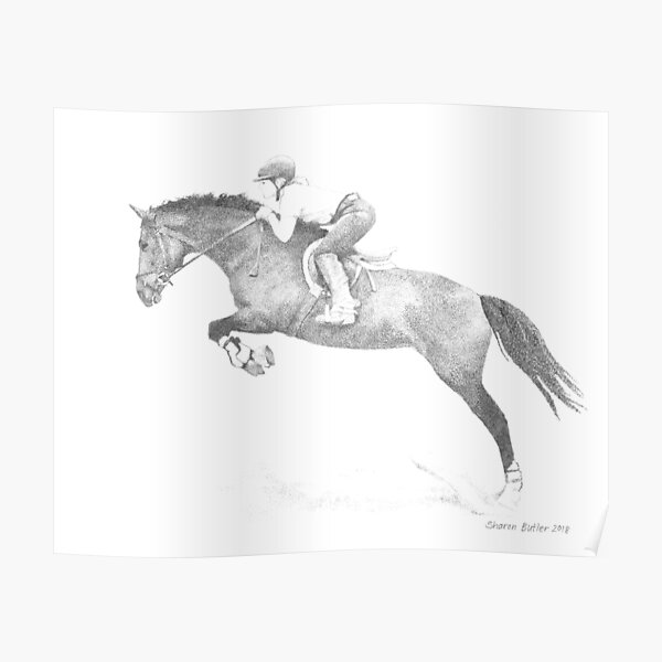 Horse Belgian Warmblood Poster