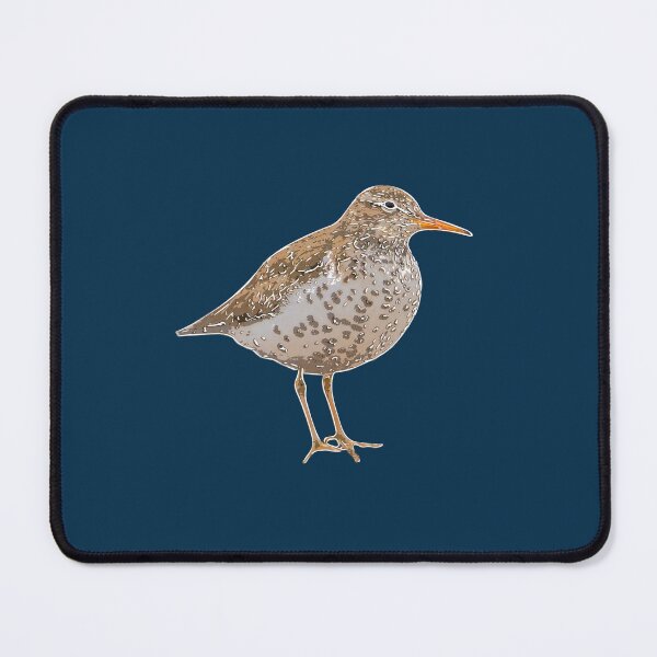 Item preview, Spotted Sandpiper White Alternate Design  designed and sold by designsasstultd.