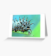 Creepy Crawly Greeting Card