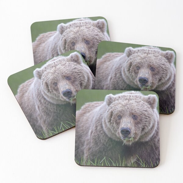 Item preview, Brown Bear in the Sedge Grass Meadow 3 Alaska designed and sold by PhotoArt by Joan Carroll.