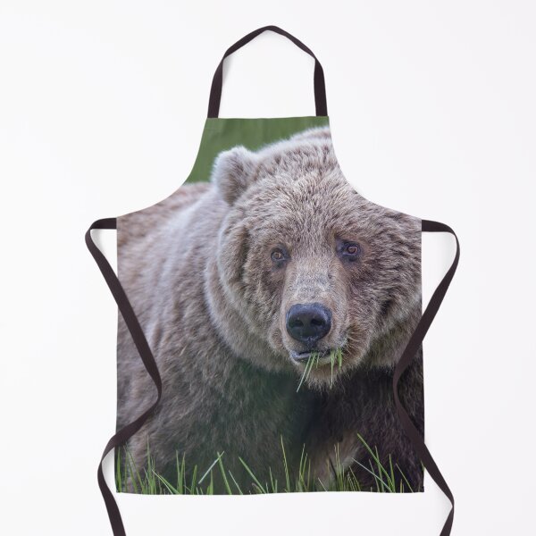 Item preview, Brown Bear in the Sedge Grass Meadow 3 Alaska designed and sold by PhotoArt by Joan Carroll.
