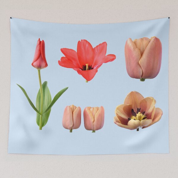 Item preview, Assorted tulips designed and sold by Chris Burrows.