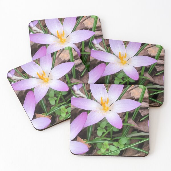 Item preview, Spring in Poland and violet crocuses designed and sold by lusiakotowska.