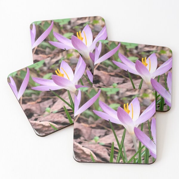 Item preview, Spring in Poland and violet crocuses designed and sold by lusiakotowska.