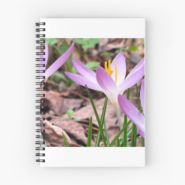 Item preview, Spring in Poland and violet crocuses designed and sold by lusiakotowska.