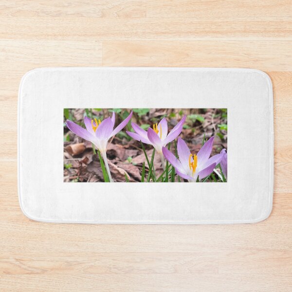Item preview, Spring in Poland and violet crocuses designed and sold by lusiakotowska.