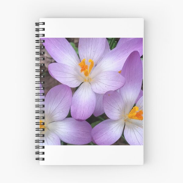 Item preview, Violet crocuses  designed and sold by lusiakotowska.