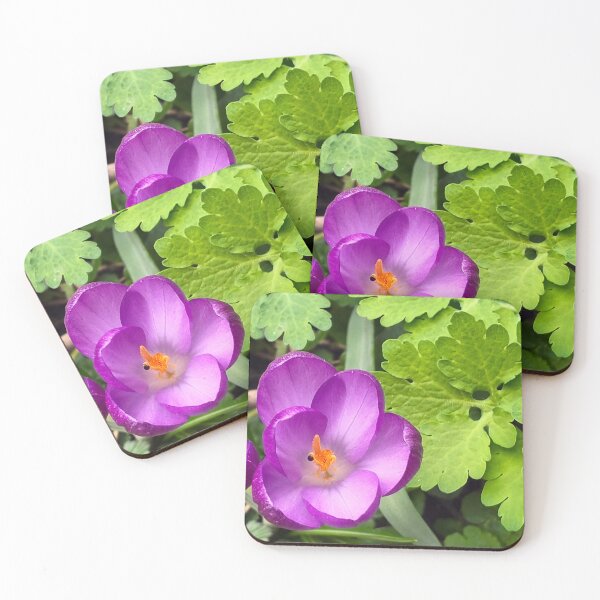 Item preview, Violet crocuses designed and sold by lusiakotowska.
