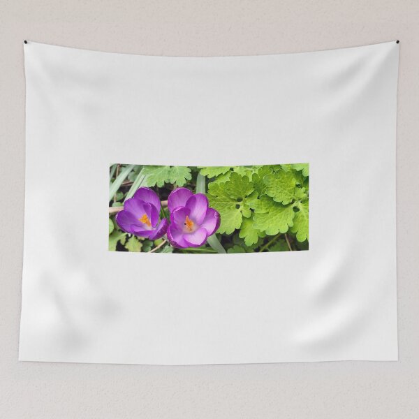 Item preview, Violet crocuses designed and sold by lusiakotowska.