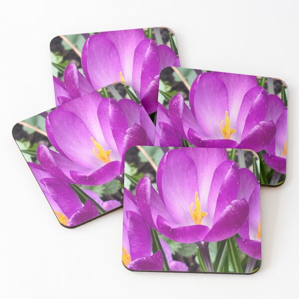 Item preview, Violet crocuses designed and sold by lusiakotowska.