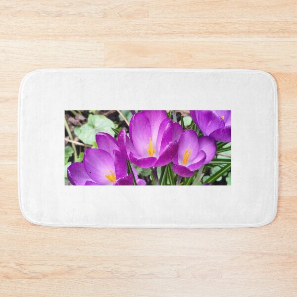 Item preview, Violet crocuses designed and sold by lusiakotowska.