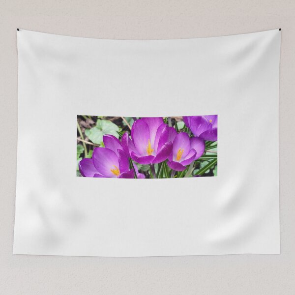 Item preview, Violet crocuses designed and sold by lusiakotowska.