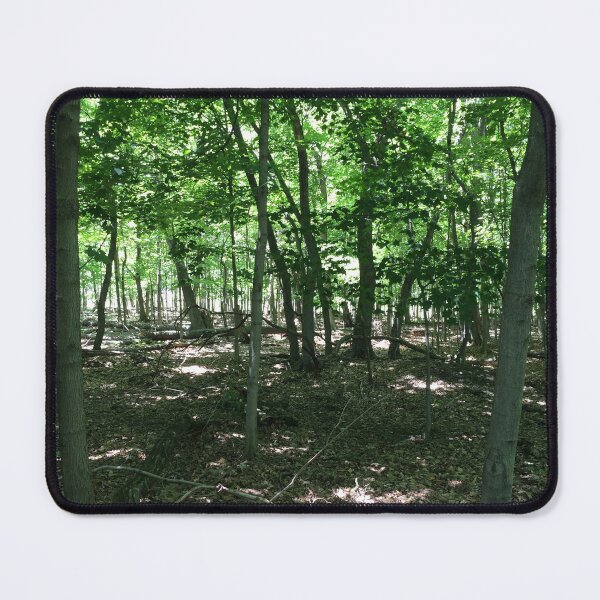 Item preview, 100 Acre Wood designed and sold by AGODIPhoto.