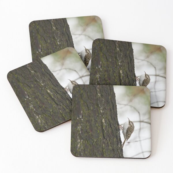Item preview, Creepers keepers. Eurasian treecreeper designed and sold by Jouko Lehto Photography.