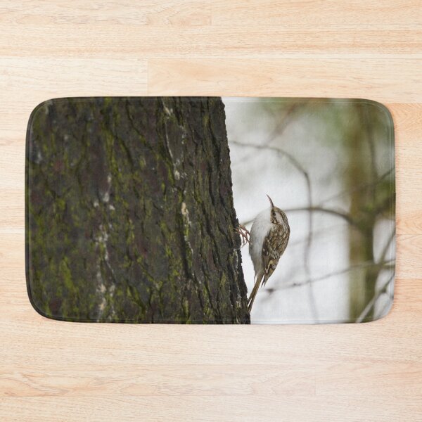 Item preview, Creepers keepers. Eurasian treecreeper designed and sold by Jouko Lehto Photography.