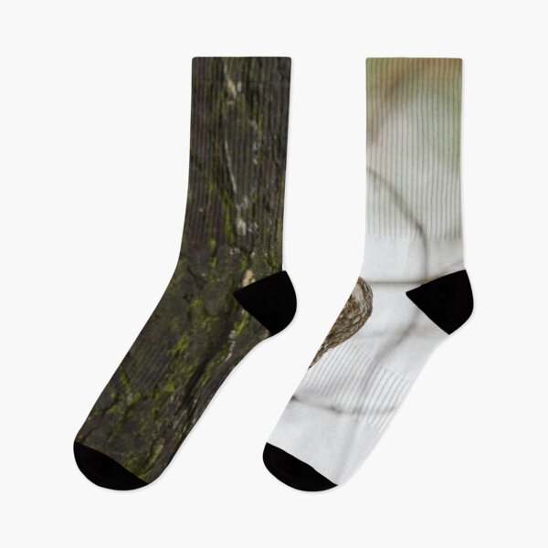 Item preview, Creepers keepers. Eurasian treecreeper designed and sold by Jouko Lehto Photography.