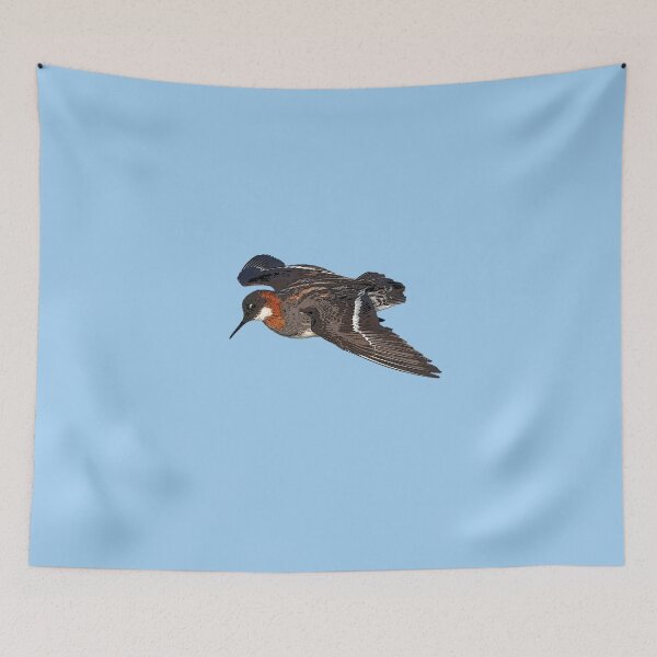 Item preview, Red Necked Phalarope Color Design  designed and sold by designsasstultd.