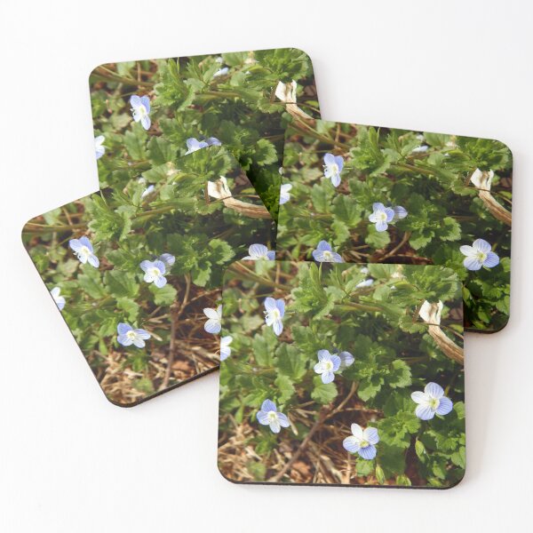 Item preview, Clump of Birdseye Speedwell designed and sold by gistinker.