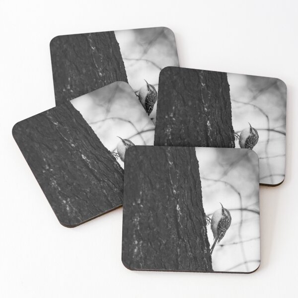 Item preview, Creepers keepers. Eurasian treecreeper bw designed and sold by Jouko Lehto Photography.