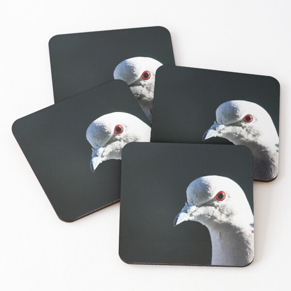 Item preview, Eurasian Collared-Dove designed and sold by Alyce Taylor.